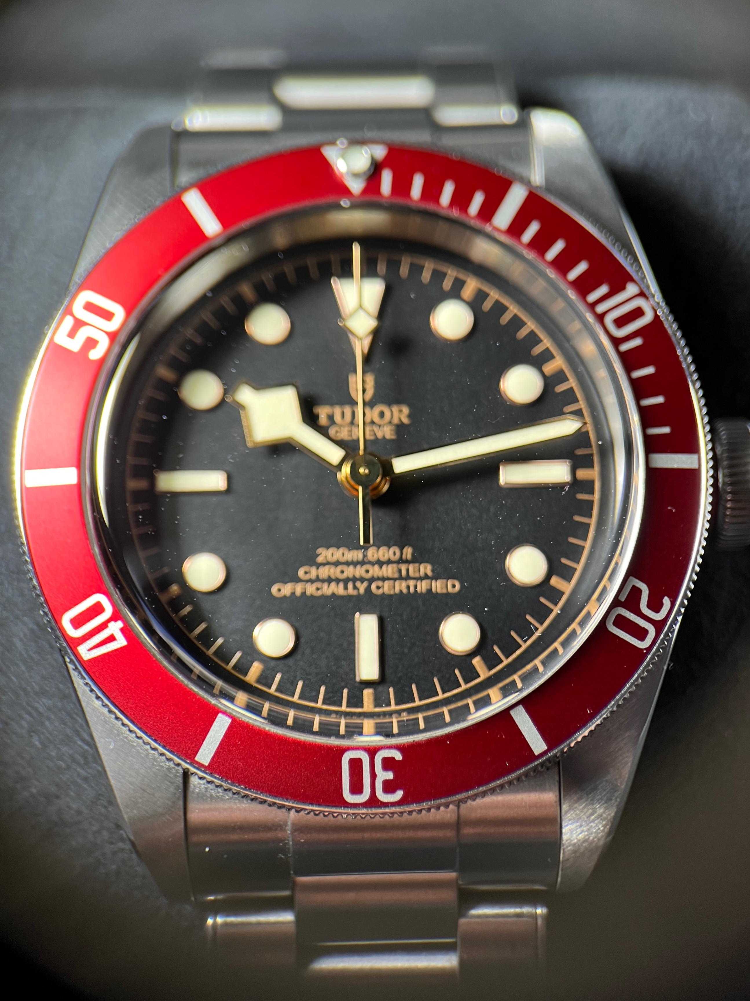 Tudor Black Bay Heritage Burgundy Red Ref. 79230R Wristies